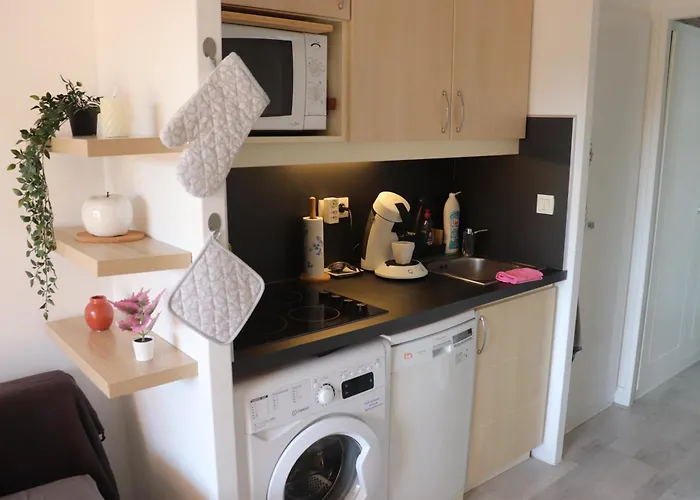 T2 Climatise Wifi Piscines Parking